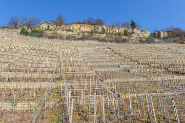 Felsengärten bei Hessigheim