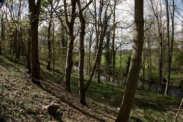 River Waveney, Flixton, Suffolk, England