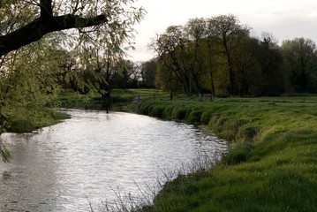 Fototapeta premium River Waveney, Outney Common, Suffolk, England