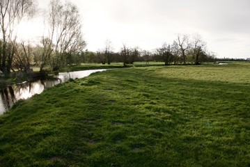 Obraz premium River Waveney, Outney Common, Suffolk, England