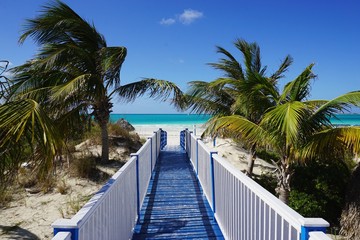 Steg auf Cayo Coco, Kuba, Karibik © franziskahoppe