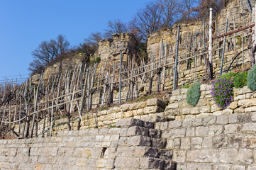 Felsengärten bei Hessigheim