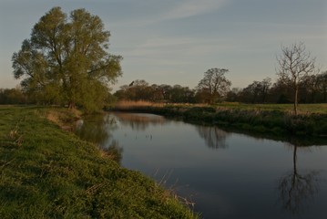 River Waveney, Ellingham, Suffolk, England