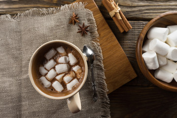 Cocoa, Marshmallow and cinnamon on rustic table.