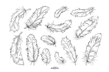 Feather bird vector hand drawn designer elements set collection. Monochrome Black gray ink pen linear drawings in boho style for design textile shirt design. Beautiful cute elegant, romantic selection