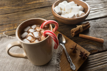 Hot Chocolate, Marshmallow and cinnamon on rustic table