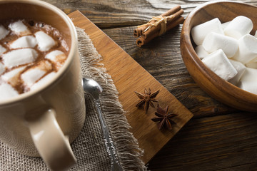 Cocoa, Marshmallow and cinnamon on rustic table.