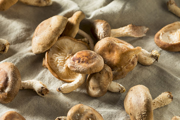 Healthy Organic Fresh Shiitake Mushrooms