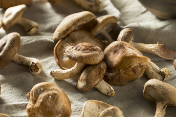 Healthy Organic Fresh Shiitake Mushrooms
