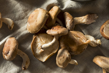 Healthy Organic Fresh Shiitake Mushrooms