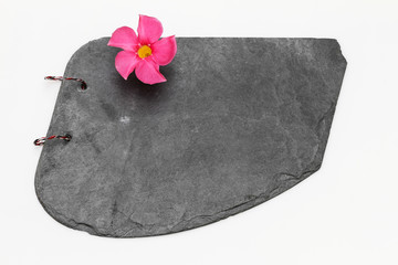 Schiefertafel mit rosa Blüte