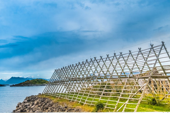 Stockfish drying flake (hjell), Henningsvaer, Lofoten Islands, Nordland, Norway. 