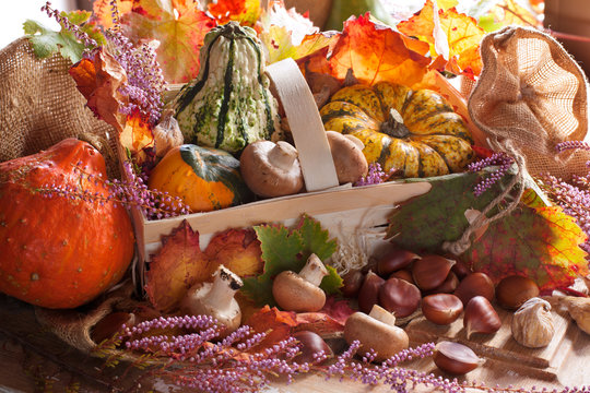 Courges_Automne