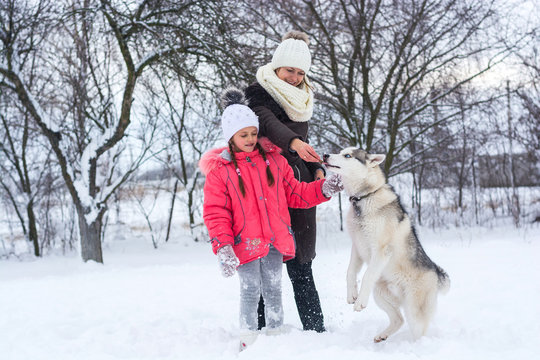 A girl and her mom feed a husky dog in the winter
