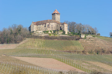 Burg Lichtenberg