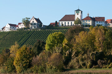 Fototapeta na wymiar Sachsenheim-Hohenhaslach