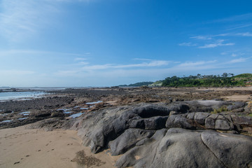 Marea Baja, Manglares, Panamá