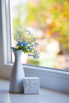 Blue Brunnera flowers in white vase with gift box near window