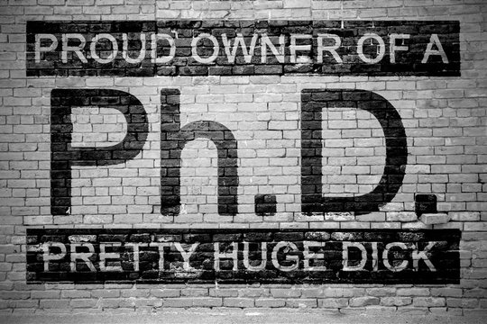 Ph.d. Proud Owner of a Pretty Huge Dick Ziegelsteinmauer Graffiti