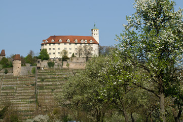 Fototapeta na wymiar Schloss Kaltenstein in Vainingen an der Enz