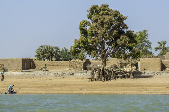 Village on the north bank of the Niger near Timbuktu, Mali, West Africa