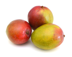 Mango fruit isolated on white background
