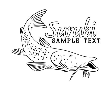 surubi fish