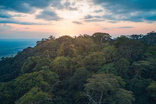 Floresta tropical de escarpa na prov&iacute;ncia do Z&aacute;ire, Angola