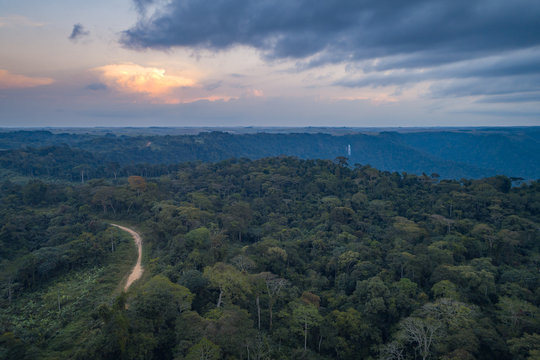 Caminho numa floresta tropical de escarpa na prov&iacute;ncia do Z&aacute;ire, Angola