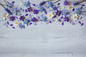 Spring flowers of anemones hepatica, muscari, scilla and snowdrops on a wooden background.