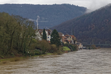 Fototapeta premium flood