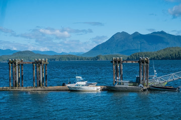 Tofino on the west coast of Vancouver Island at the northern edge of the Pacific Rim National Park Reserve, British Columbia. Canada.