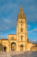 Fototapeta na wymiar Cathedral of San Salvador (Catedral Metropolitana Basílica de San Salvador), Oviedo, Asturias, northern Spain.