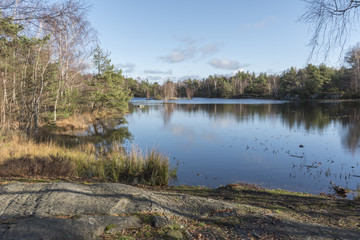 Pond in Scandinavian forest