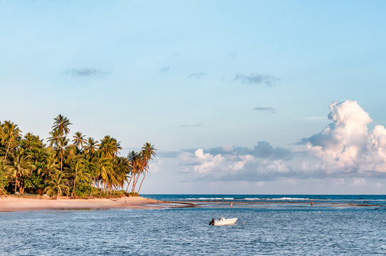 P&ocirc;r-do-sol na restinga do Mussulo, prov&iacute;ncia de Luanda, Angola