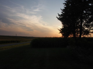 silhouette landscapes cornfields