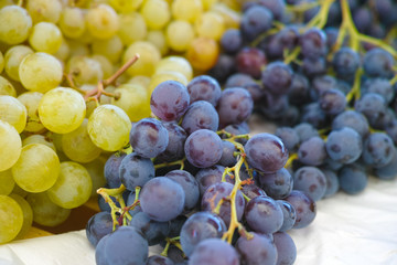 White muscat grape and dark grape - sweet and tasty dessert, healthy fruit from south vineyards of Provence