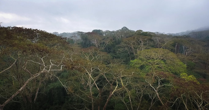 A floresta h&uacute;mida tropical dos Dembos em Angola vista do ar com Drone