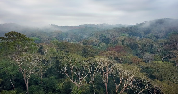 A floresta h&uacute;mida tropical dos Dembos em Angola vista do ar com Drone