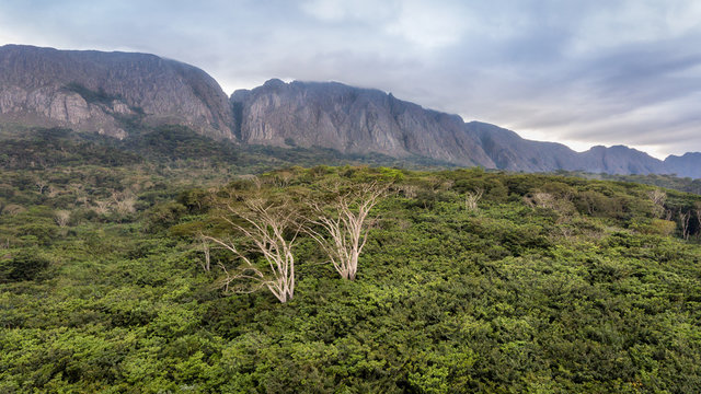Floresta tropical em Angola