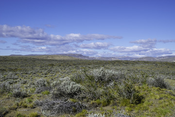 Altiplano, Argentina