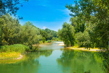     Beautiful jungle landscape, confluence of Mura and Drava rivers in Medjimurje, Croatia 