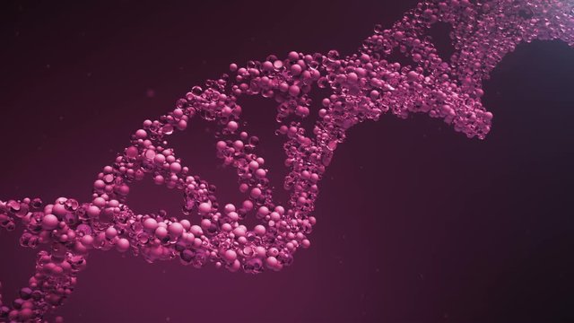 DNA glass cells molecule structure.DNA chain rotation.Pink.Particles.3D rendered animation. Health care medicine needs.Type 5
