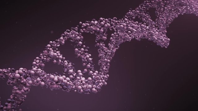 DNA glass cells molecule structure.DNA chain rotation.Purple.Particles.3D rendered animation. Health care medicine needs.Type 4