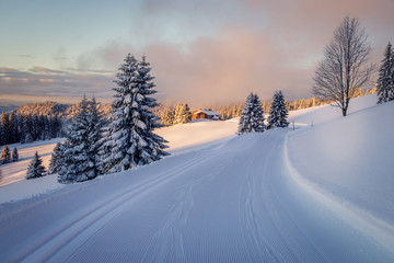Early morning snow covered black forest warmed up by the sun rays. The sky is opening up and the...