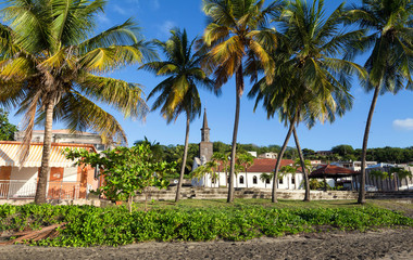 Fototapeta premium Saint Thomas church and palm trees in the foreground , Diamant city, Martinique island.