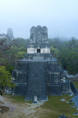 Panoramic of Tikal pyramids Gran Jaguar in Peten, Guatemala. Mayan culture.