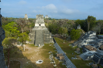 Panoramic of Tikal pyramids Gran Jaguar in Peten, Guatemala. Mayan culture.