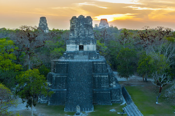 Panoramic of Tikal pyramids Gran Jaguar in Peten, Guatemala. Mayan culture.