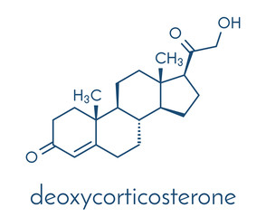 Fototapeta premium Deoxycorticosterone (DOC) mineralocorticoid hormone molecule. Precursor to aldosterone. Skeletal formula.
